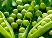 Этот продукт продлевает жизнь мужчинам и замедляет старение