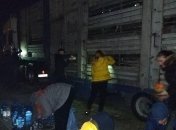 Зоозащитники Одессы блокируют фуру с овцами, чтобы животных не "сожгли заживо"