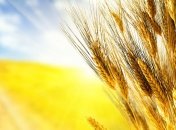 9 ноября День украинской письменности и языка