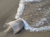 Экоактивисты: К 2050 году в океане будет больше пластика, чем рыбы