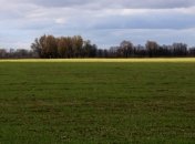 В Зауралье вдвое снизилась урожайность 