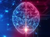 Шведские ученые предложили создавать "электронные копии" умерших людей