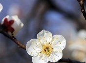 Ночные морозы и дожди: синоптики дали прогноз на неделю 