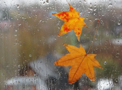 Погода в понедельник: всю Украину накроют сильные дожди 