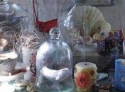 ТОП способов использования ракушек для декора жилья (Фото)