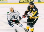 УХЛ: "Білий Барс" розгромив "Динамо"