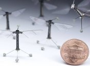 Ученые США создали уникального летающего микроробота