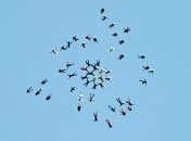 Парашютный рекорд ко Дню независимости