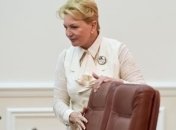 Богатырева уверена, что Тимошенко не нуждается в стационаре