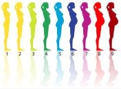 Таблица соответствия недель и месяцев беременности