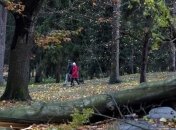 В Чехии из-за сильного ветра без света остались 140 тысяч домов