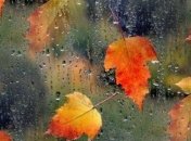 Погода в Украине на 20 ноября: в некоторых регионах дождливо