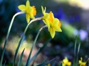 Будет еще теплее: прогноз погоды в Украине на неделю 