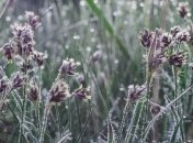 В Украину идет похолодание: синоптик предупредила о морозах 