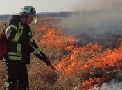 Борьба с пожарами на Луганщине продолжается: спасатели рассказали, где самая сложная ситуация