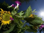 Удивительные места Германии