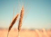 8 августа - праздник, что категорически запрещено делать, главные приметы