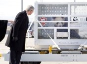 В Торонто прибыли две панды из Китая 