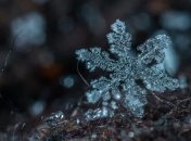 Какой праздник 25 января: народные приметы и запреты 