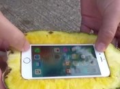 Спасет ли ананас iPhone 6s при падении с 30-метровой высоты (Видео)