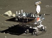 "Нефритовый заяц" снова заработал 