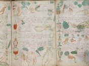 Легендарный древний манускрипт Войнича мог быть подделкой 