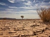 Ученые рассказали о неизвестном ранее массовом вымирании