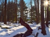 Какой праздник 6 февраля: народные приметы и запреты