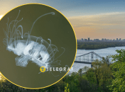 Медуза может испугать