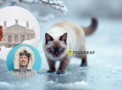 Мороз во Львове