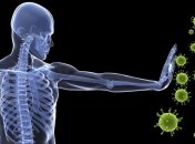 Как температура тела влияет на иммунитет 