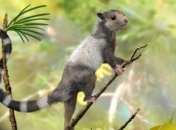 О чем рассказали белки эпохи мезозоя?