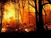 Во Франции горят 650 га горных лесов