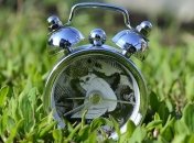 Знаменательные события в истории: 28 сентября 2019 года