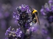 Грозовые ливни: синоптики рассказали, когда в Украине резко ухудшится погода