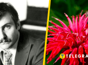 Владимир Ивасюк