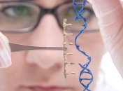 ВИЧ помог излечить редкое и смертельное заболевание 