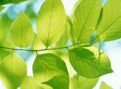 Прогноз погоды на 13 мая: кратковременные дожди и потепление до +24