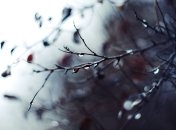 Три дня тепла