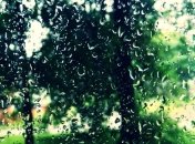 Прогноз погоды на 20 июля: почти по всей Украине пройдут дожди