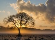 29 февраля - приметы и обряды в Касьянов день