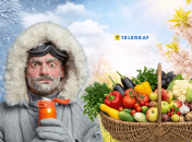 Чего ждать аграриям в этом сезоне