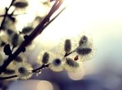 Прогноз погоды в Украине: сегодня распогодится и потеплеет