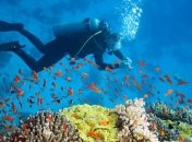 Какие травмы может получить дайвер?