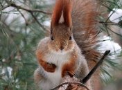 Приметы на 11 февраля: что категорически нельзя делать