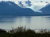 Экологи заметили регион аномально теплой воды у берегов Аляски