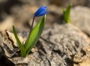 Прогноз погоды на 27 марта в Украине: дождь, на дорогах гололед