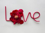 Самые популярные фразы