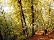 Калифорнию настигла сильнейшая засуха