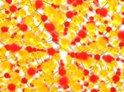 "Сшивает" на молекулярном уровне: в Британии разработали гиперклей для пластика и стекла